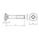 Lock screw, round pan head, square lock - DIN 603 8.8 ZP M8X30 - 2