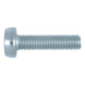 Slotted screw Pan head ISO 14583 - ISO 14583 8.8 TX8 A2K M2,5X6 - 1