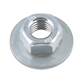 Hexagon nut with spring washer