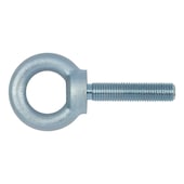 Ring bolts