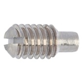 Set screw, slotted with pin