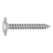 Pan head tapping screw with flange