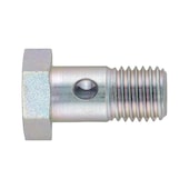 Hollow screw and ring type nipple