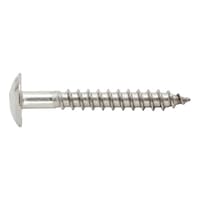 Façade construction screw with painted head W-FS