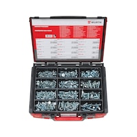 Countersunk head screw with hexagon socket, assortment 635 pieces in system case 4.4.1. ISO 10642