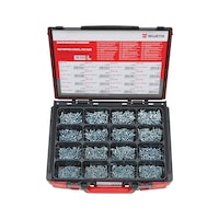 Tapping screws, pan head assortment 1603 pieces in system case 4.4.1.