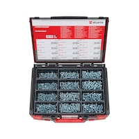 Raised countersunk head screw assortment 1100 pieces in system case 4.4.1.