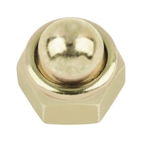 Hexagonal cap nut with clamping piece (non-metallic insert)