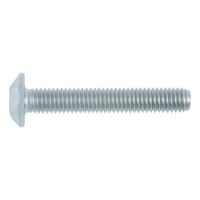 Round pan head safety screw with AW drive and plug