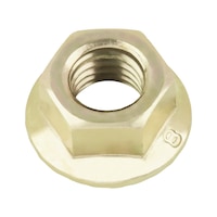 hexagon nut with flange