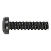 Flat-head screw with H cross recess ISO 7045, steel 4.8, zinc-nickel, black (ZNBHL)
