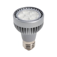 LED bulb PAR 20