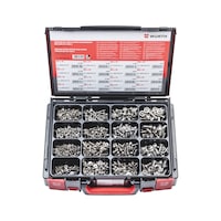 Screw, flattened half round head, with collar and hexagon socket assortment 1,000 pieces