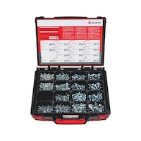 Serrated screws and serrated locking nuts assortment 860 pieces in system case 4.4.1.