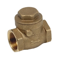 Check valve PH 993