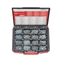 Screw, flattened half round head, with hexagon socket assortment 1000 pieces in system case 4.4.1. ISO 7380-1