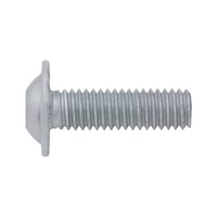 Screw with flattened half round head with collar and hexagon socket