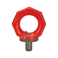 Ring bolt RUD, painted steel, octagonal RS