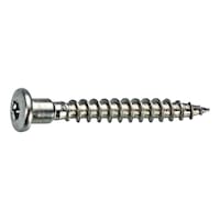 Nailing plate screw SS