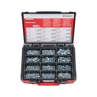Grease nipple assortment DIN 71412 A, B, C 600&nbsp;pieces in system case 4.4.1.