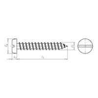 Cylinder tapping screw, shape C with slot DIN 7971, A2 stainless steel, plain