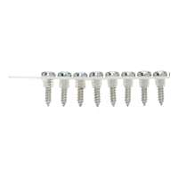 Thin sheet metal screw With round head, collated DBS
