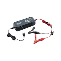 Battery charger 12/24 V 15 A lithium/lead 25-400 Ah