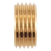 Hexagon socket screw-in nut, tapered thread, imperial DIN 906, brass, plain