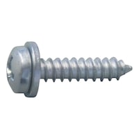 Number plate screw type S