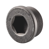 Hexagon socket screw-in nut with collar DIN 908, steel, zinc-phosphated (ZNPHR)
