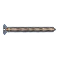 Profile cylinder screw