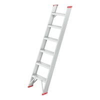Leaning single-section ladder