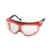 Wega<SUP>®</SUP> safety goggles