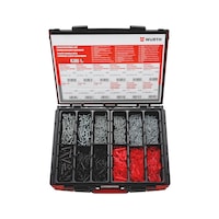 Plastic anchor with combi screw assortment 900 pieces in system case