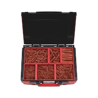 Nylon dowel assortment 600 pieces in system case