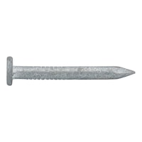 Wire nail hot dip galvanized flat hd smooth shank