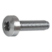 Locking screw steel zinc nickel pan head TX