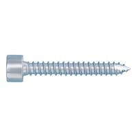 Cylinder tapping screw, shape C with AW drive