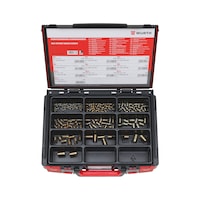 Self-tapping thread insert assortment 220 pieces in system case 4.4.1.
