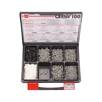 ORSY<SUP>®</SUP> pias<SUP>®</SUP>number plate screws, assortment of 100
