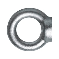 Ring nuts