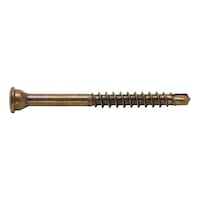 ASSY<SUP>®</SUP>plus 4 A2 TH glass strip screw Stainless steel A2 burnished partial thread top head 