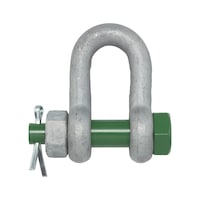 Shackle straight GreenPin safety bolt
