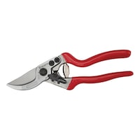 Secateurs with angled blade