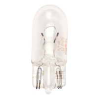 Glass socket bulb