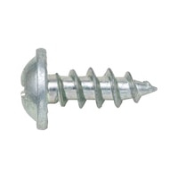Quick-mount NPH screw