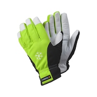 Protective glove winter Ejendals Tegera 293