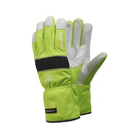 Protective glove winter Ejendals Tegera 299