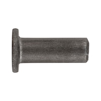 Rivet for brake and clutch linings
