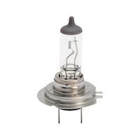 Halogen bulb +50 % For active, safety-conscious drivers
